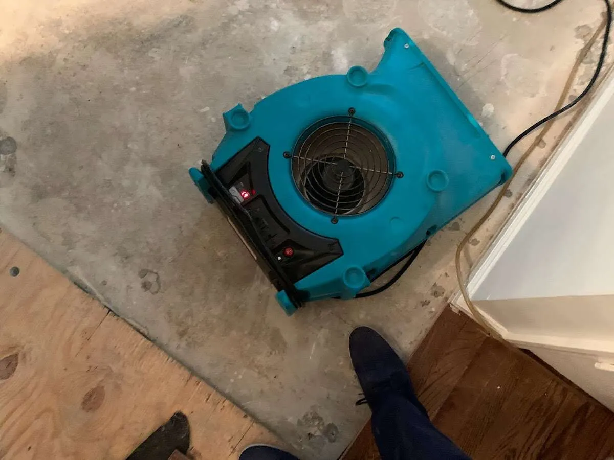 Air mover drying subfloor during Leak Detection & Repair in St. Ann